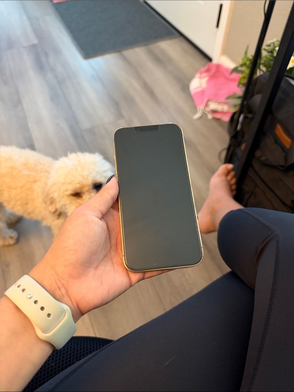 iPhone 13 Pro, Case and screen protector